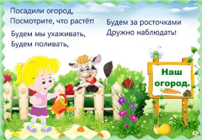 Огород на окне Огород на окне.
